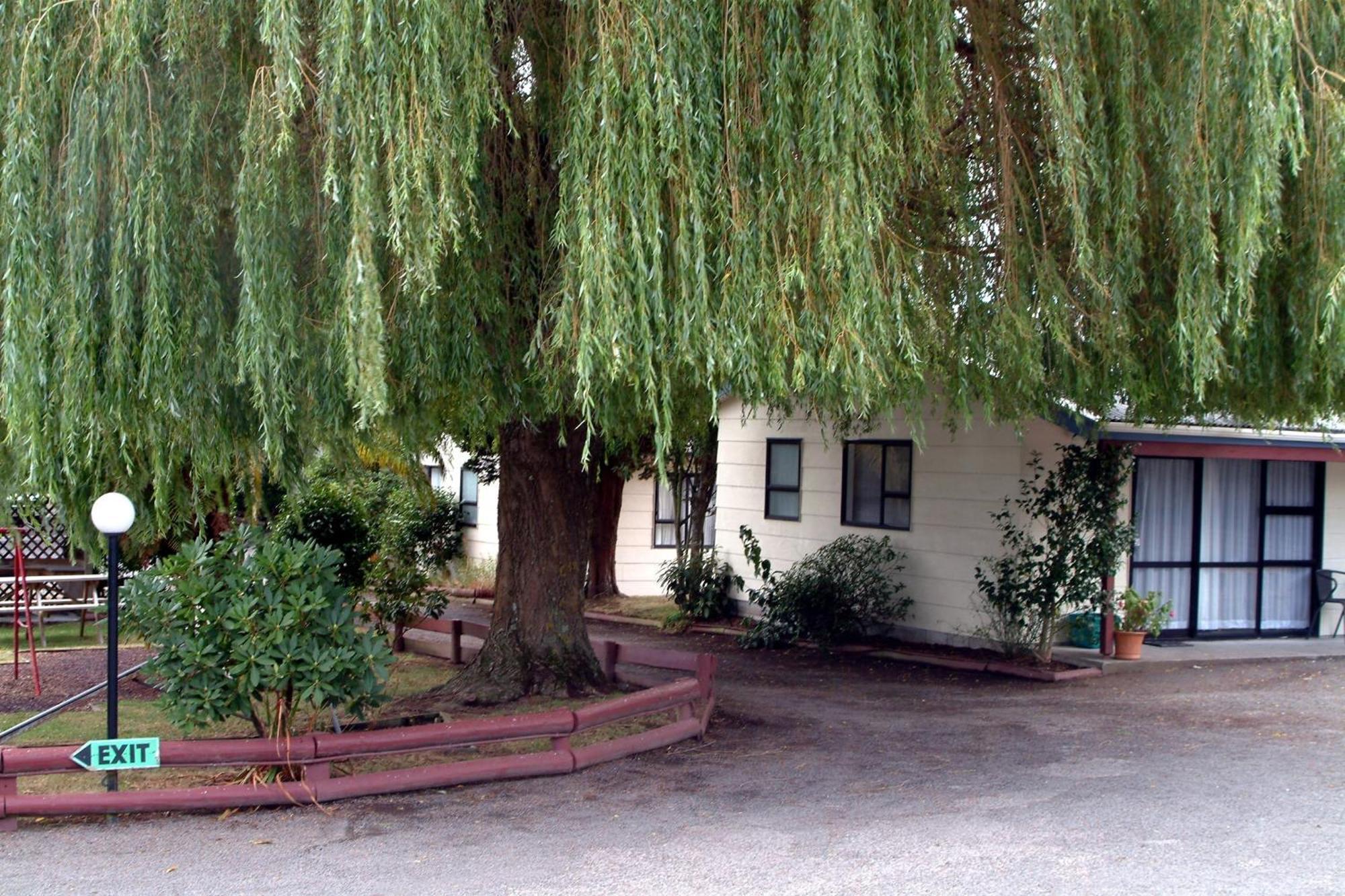 Camellia Court Family Motel Taupo Zewnętrze zdjęcie